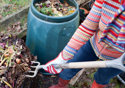 Sustainability Compost