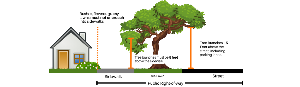 Image of Tree Lawn Code