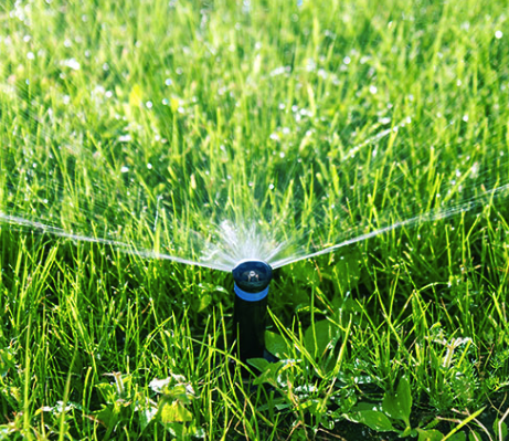 Watering grass